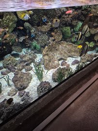 Wild Reef photo 6