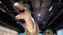 ICR Discovery Center photo 2
