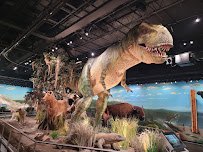 ICR Discovery Center photo 5