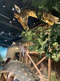 ICR Discovery Center photo 6