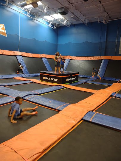 Sky Zone Trampoline Park photo 3