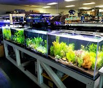The Aquarium Connection photo 4