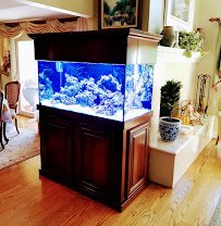 The Aquarium Connection photo 5