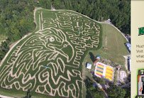 Kersey Valley Maize Adventure photo 3