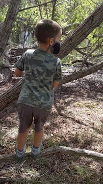 Madrona Marsh Preserve and Nature Center photo 2