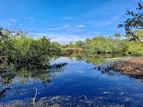 Madrona Marsh Preserve and Nature Center photo 3