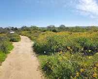 Madrona Marsh Preserve and Nature Center photo 4