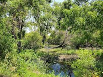 Madrona Marsh Preserve and Nature Center photo 6