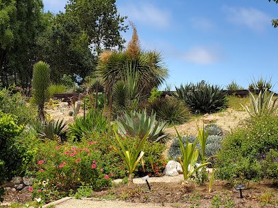 UC Santa Cruz Arboretum & Botanic Garden photo 3