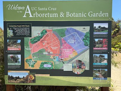 UC Santa Cruz Arboretum & Botanic Garden photo 5