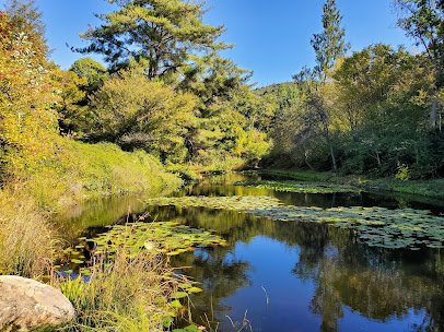 Sonoma Botanical Garden photo 4