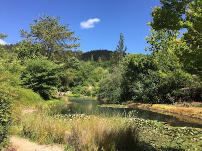 Sonoma Botanical Garden photo 5