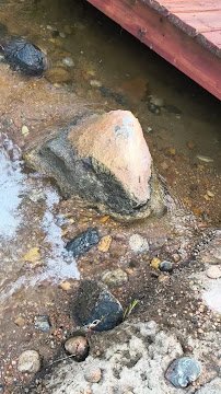 Adventure Island photo 3