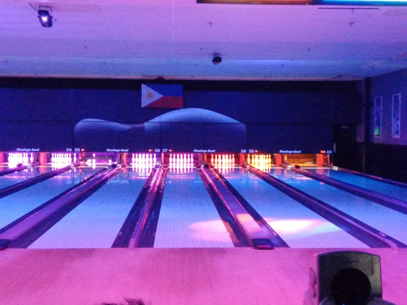 Flamingo Bowl photo 4