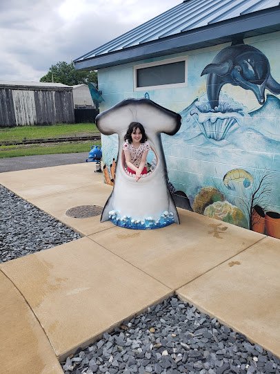 Al Berryman Memorial Park & Splash Pad photo 3