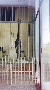 Giraffe House photo 2