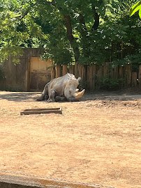 Giraffe House photo 4