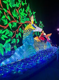 Giraffe House photo 6