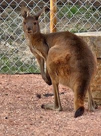 Equator's Edge Wildlife Center photo 3