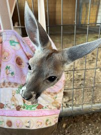 Equator's Edge Wildlife Center photo 4