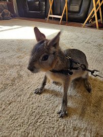Equator's Edge Wildlife Center photo 6