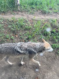 North America photo 3