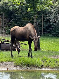 North America photo 4