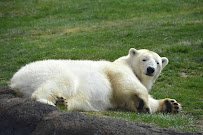 North America photo 5