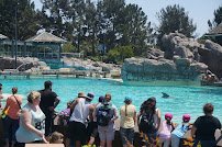 Dolphin Encounter photo 4