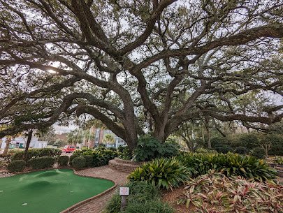 Treasure Island Mini Golf photo 4