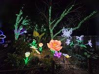 Flamingo Pond photo 5