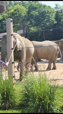 The Rainforest photo 2