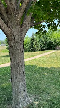 Noelridge Splash Pad photo 6