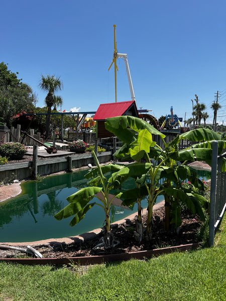 Mini Golf and Fat Daddy's Arcade at The Track - Destin photo 6