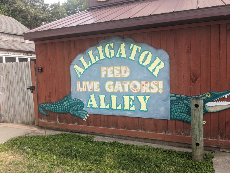 Alligator Alley Adventures photo 3