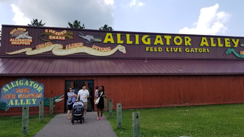 Alligator Alley Adventures photo 4