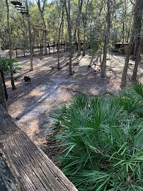 Tallahassee Museum photo 5