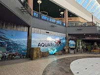 Electric City Aquarium & Reptile Den photo 3