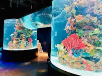 Electric City Aquarium & Reptile Den photo 4