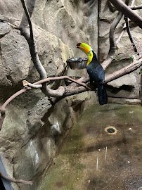 Electric City Aquarium & Reptile Den photo 6