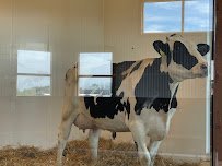 Farm Wisconsin Discovery Center photo 5