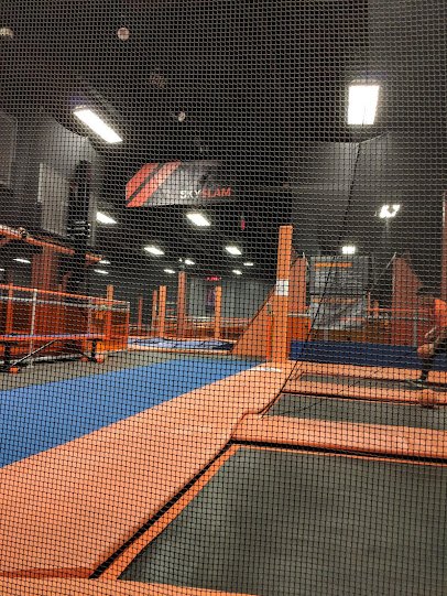 Sky Zone Trampoline Park photo 4