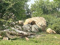 Lions' Lair photo 6