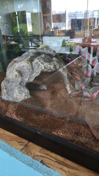 The Science Zone photo 3