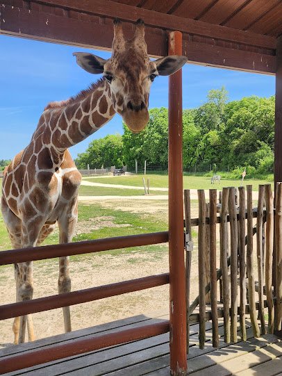 Safari Lake Geneva | Online Reservations Required photo 3