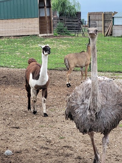 Safari Lake Geneva | Online Reservations Required photo 5