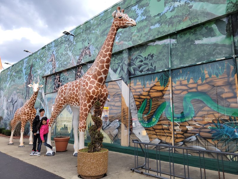 Safari Land photo 6