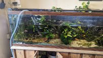 Lakes Region Aquariums photo 3