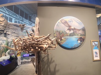 National Great Rivers Museum photo 4