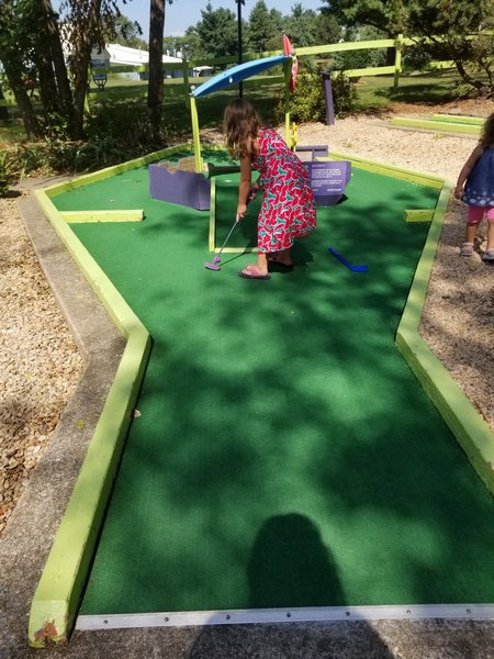 Waynesboro Golf and Games LLC. photo 3